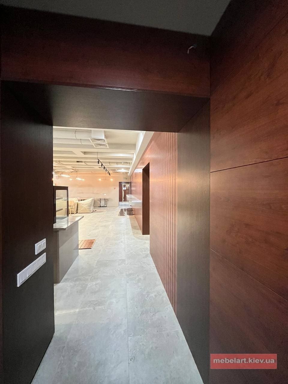 варианты дизайнерских панелей для стен